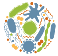 NeLLi logo